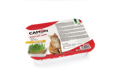 Трава для котів Camon з насінням ячменю 130 г (8019808000015)
