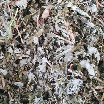 Перстач гусиный/гусиная лапчатка трава сушеная 100 г