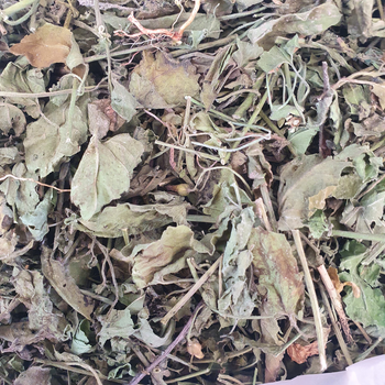 Вьюнок полевой березка трава 100 г
