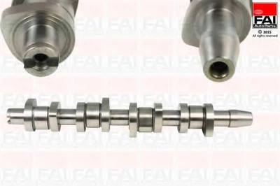 Распределительный вал FAI Auto Parts Audi A3 (8p1) 1.9 TDI (Bls) 05/2003_05/2010 (C312)