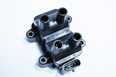 224336134R OE RENAULT КОТУШКА ЗАПАЛЕННЯ Renault (224336134R)