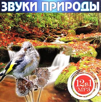 Компакт диск Astra Records Звуки Природы 12 в 1 Сборник MP3 CD