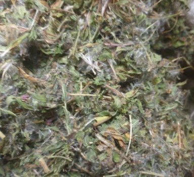 Иван-чай мелкоцветковый трава 100 г