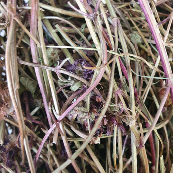 Черноголовка обыкновенная трава сушеная 100 г