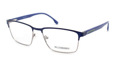 Оправа для окулярів металева Blueberry 3965-C4
