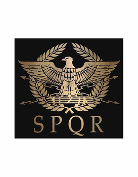 Шеврон патч " SPQR " на липучці велкро