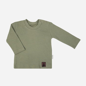 Дитяча футболка з довгими рукавами для хлопчика Nicol 206140 68 см Зелена (5905601018490)