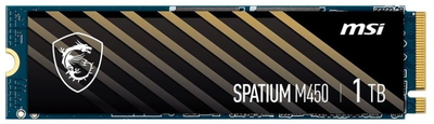 SSD диск MSI Spatium M450 (S78-440L980-P83)
