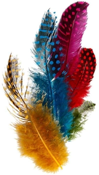 Декоративні пір'я Creativ Company Guinea Fowl Feathers Різнокольорові 50 г (5707167903810)