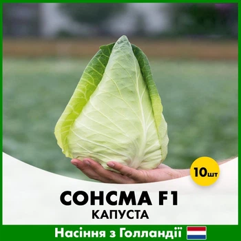 Белокочанная капуста Сонсма F1, 20 шт