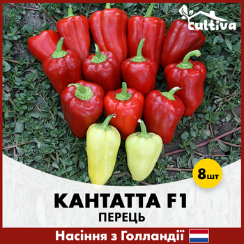 Перец Кантатта F1, 8 шт