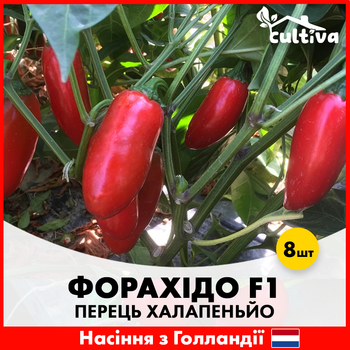Перець халапеньйо Форахідо F1, 8 шт