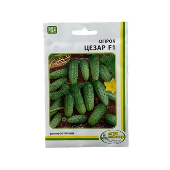 Насіння Огірків Цезар 10 г Агро Майстер (НФ-00000685)