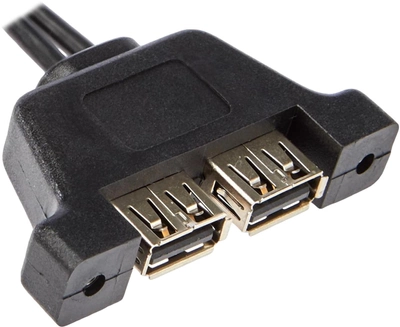 Kabel ASRock Deskmini 2xUSB 2.0 Cable Czarny (5RB000010020)