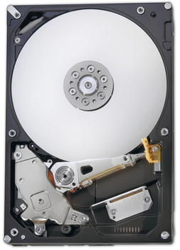 Жорсткий диск Fujitsu 600GB 10000rpm S26361-F5728-L160 3.5" SAS