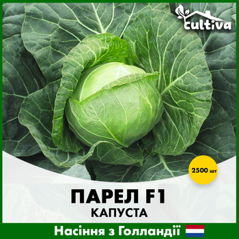 Голландские Семена Bejo Белоголовая капуста Парел F1 2500 шт