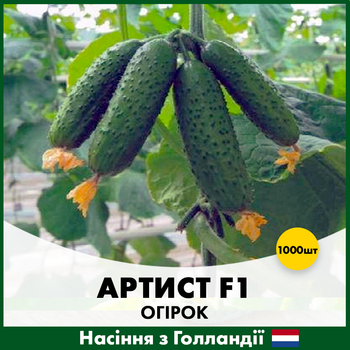 Голландские Семена Bejo Огурец Артист F1 1000 шт