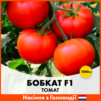 Голландские семена Syngenta Томат Бобкат F1 1000 шт