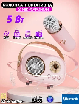 Портативна колонка із мікрофоном Winso C20Plus 5W Bluetooth, USB, microSD, AUX, Type-C Pink
