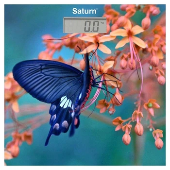 Весы Saturn ST-PS0298
