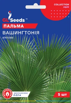 Пальма Вашингтония веерная семена (5 шт) Collection, TM GL Seeds