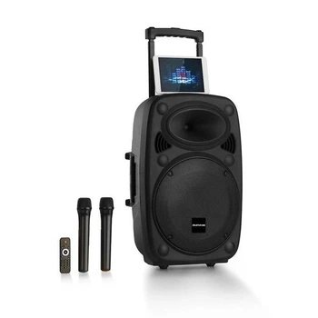 Мобильная акустическая система Auna Streetstar 2.0 12 BT USB/SD/MP3 AUX (10031567)