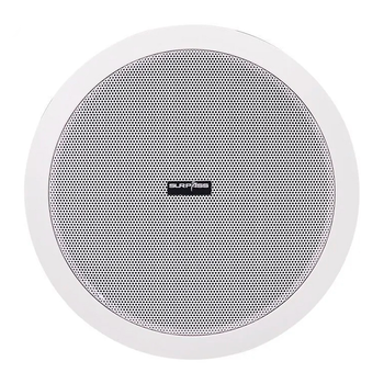 Потолочный Bluetooth динамик Без бренда SURPASS 10 Вт 6 дюймов Белый (1013-874-00)