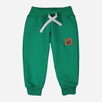 Дитячі спортивні штани для хлопчика Tup Tup PIK9010-5000 98 см Зелені (5901845299503)