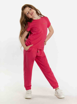 Koszulka dziecięca dla dziewczynki Tup Tup 101500-2200 104 cm Malinowa (5907744500665)