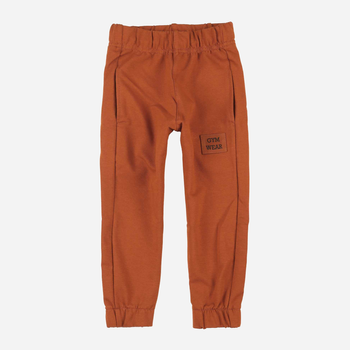 Підліткові спортивні штани для хлопчика Tup Tup PIK4060-4620 164 см Коричневі (5907744498535)