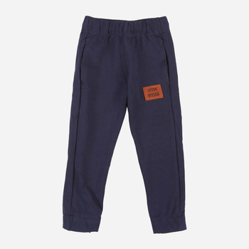 Spodnie dresowe dziecięce dla chłopca Tup Tup PIK4060-3110 98 cm Granatowe (5907744498542)