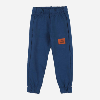 Spodnie dresowe dziecięce dla chłopca Tup Tup PIK4060-3120 110 cm Niebieski  (5907744498689)
