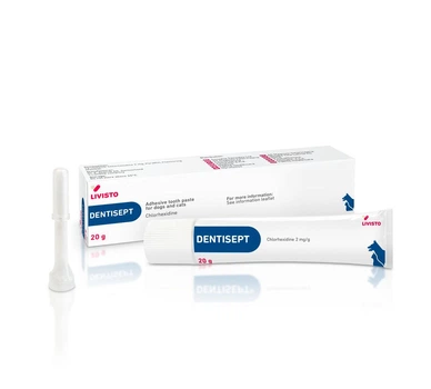 Дентисепт Dentisept зубна паста для собак та кішок, 20 г
