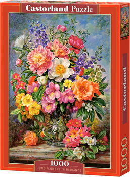 Puzzle Castorland Czerwcowe kwiaty w wazonie 1000 elementów (5904438103904)