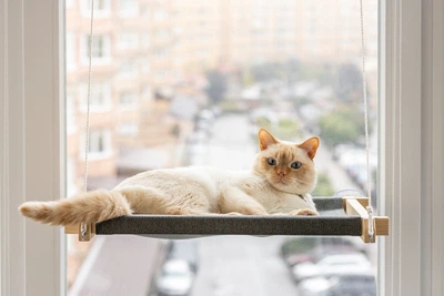 Лежаки Pet Joy Гамак white+gray на окно для кота 1 шт (wwhite1gray)