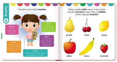 Książka dla dzieci Ameet Elementarz 3-latka Disney Maluch (9788325337483)