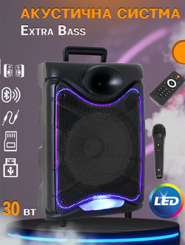 Акустическая система с караоке микрофоном UKC Goldteller GT-6020-30W Bluetooth колонка чемодан + пульт