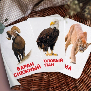 Карточки Домана ''Животные Северной Америки'' на русском языке, в наборе 15 карточек