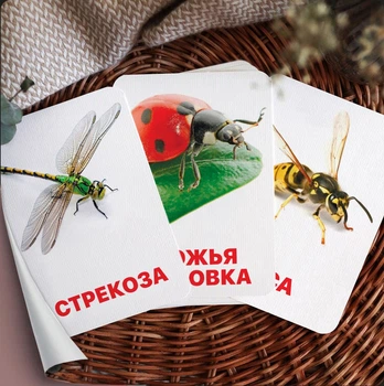Карточки Домана ''Насекомые'' на русском языке, в наборе 16 карточек