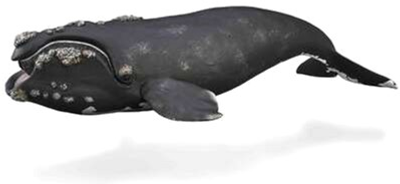 Фігурка Collecta Південний кит XL 26 см (4892900887401)