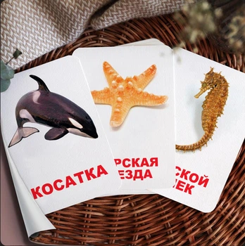Карточки Домана "Морские жители" на русском языке, 24 шт