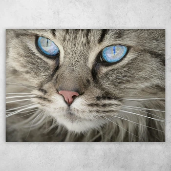 Плакат постер CupKit "Коты" №42 А4 21х29,7 см