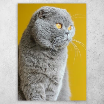 Плакат постер CupKit "Коты" №53 А3 42х29,7 см