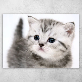 Плакат постер CupKit "Коты" №28 А4 21х29,7 см