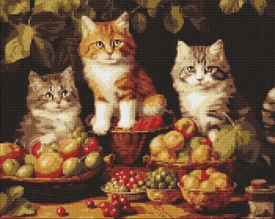 Алмазная мозаика Котики и фрукты 40х50 см Ідейка (AMO7940)