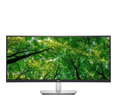 Монитор Dell P3424WE (210?BGTY) EU