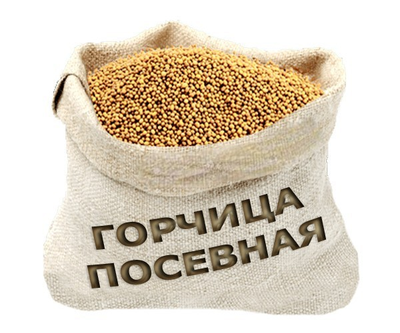 Насіння Гірчиця на сидерат (на вагу) 5 кг