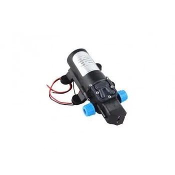Насос для аккумуляторного опрыскивателя 12V (в сборе)