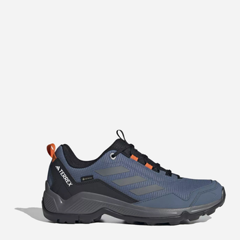 Чоловічі кросівки для треккінгу з Gore-Tex Adidas Terrex Eastrail Gtx ID7846 45.5 Сині (4066762545674)