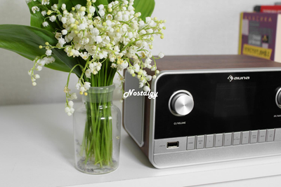 Музична стереосистема, інтернет радіо Auna Connect 100 MKII з Bluetooth, FM, USB, DAB/DAB+, керування пультом або додатком